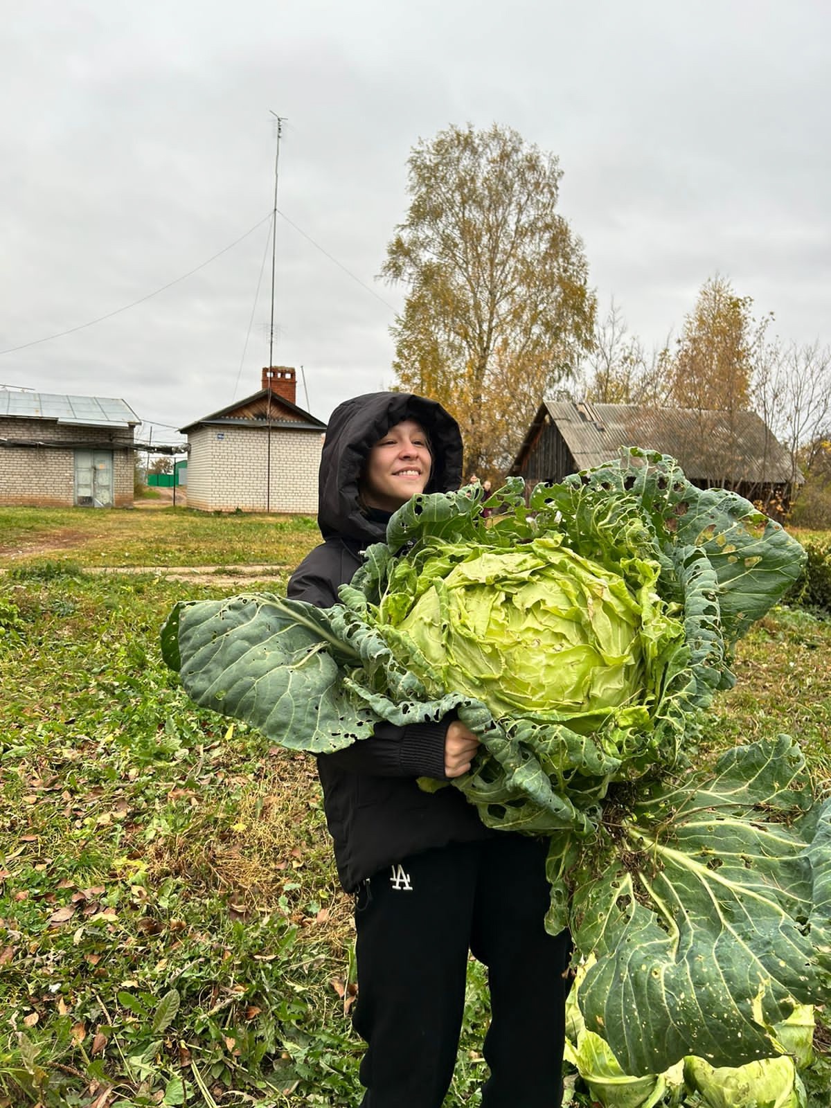 Осень –пора уборки урожая.